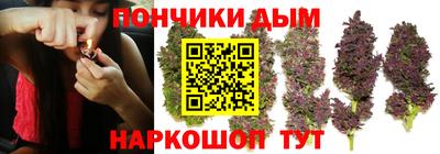 гидропоника Тула
