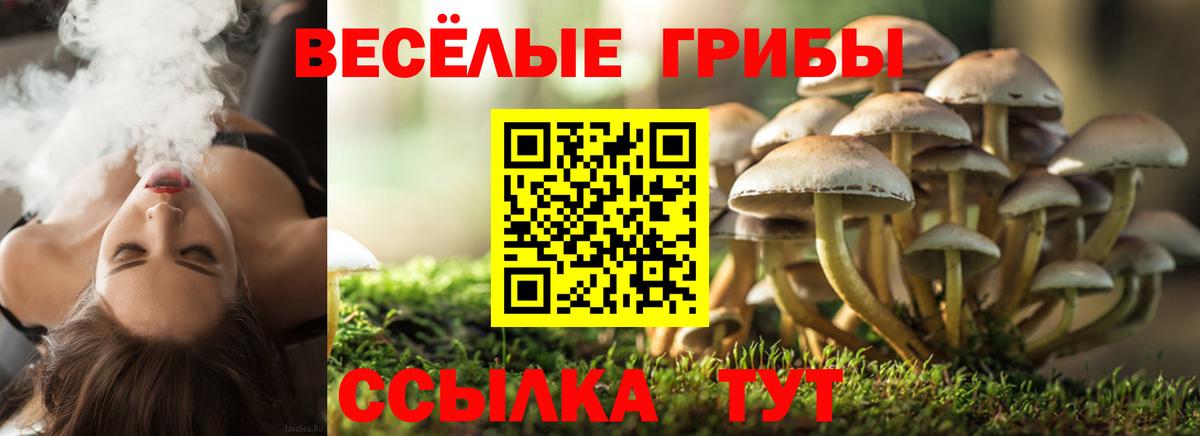 Галлюциногенные грибы Psilocybine cubensis  Галлюциногенные грибы ЛСД  Вход с VPN  Балашиха 